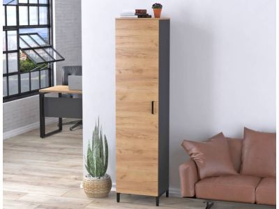 Шафа однодверна офісна LT-450-1900 Loft Design