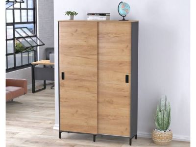 Шафа розсувна офісна LS-1200-1900 Loft Design