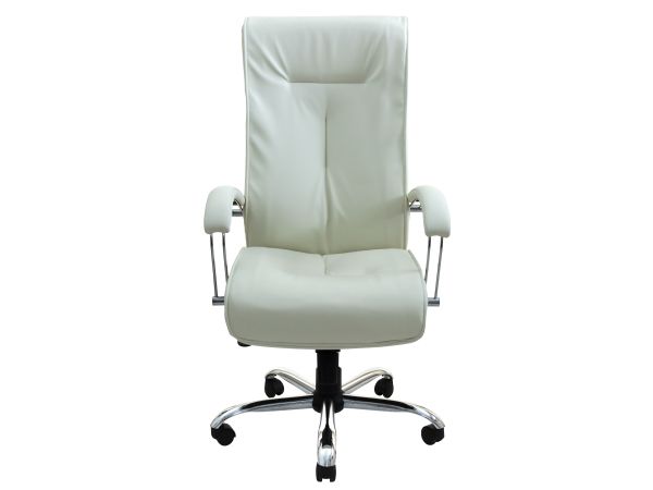 Крісло офісне з м'якими підлокітниками Бостон Річман