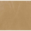 Кожзам Астор Caramel Текстория