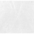 Кожзам Астор White Текстория