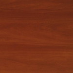 Яблуня Яблуня