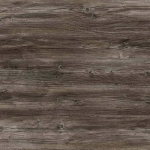 Дуб морас Дуб морас